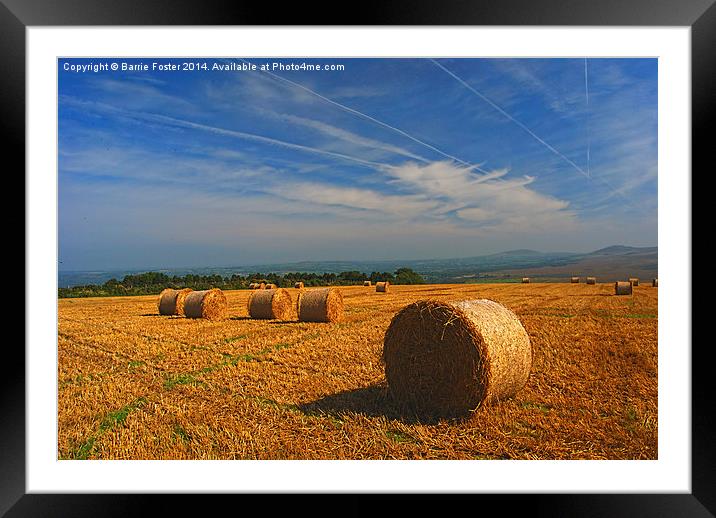  Preseli Backdrop Framed Mounted Print by Barrie Foster