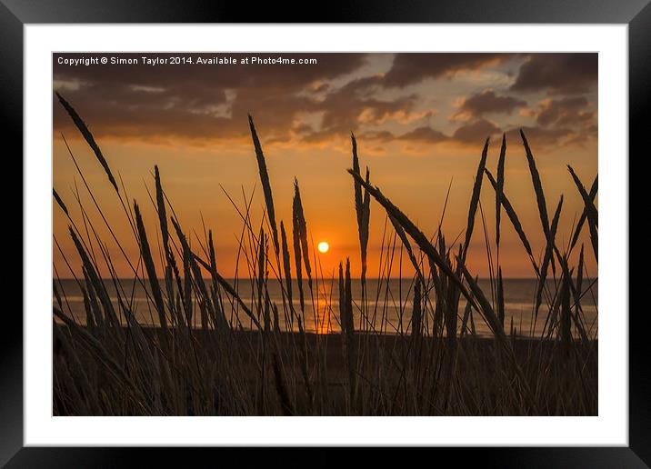 Silhouette sunset Framed Mounted Print by Simon Taylor
