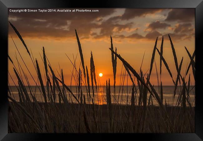 Silhouette sunset Framed Print by Simon Taylor
