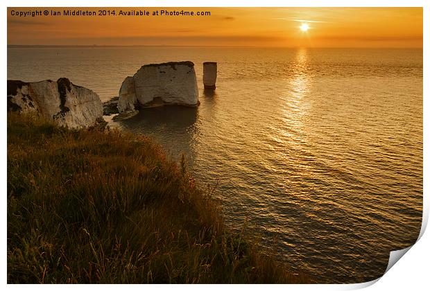 Sunrise Old Harry Rocks Print by Ian Middleton