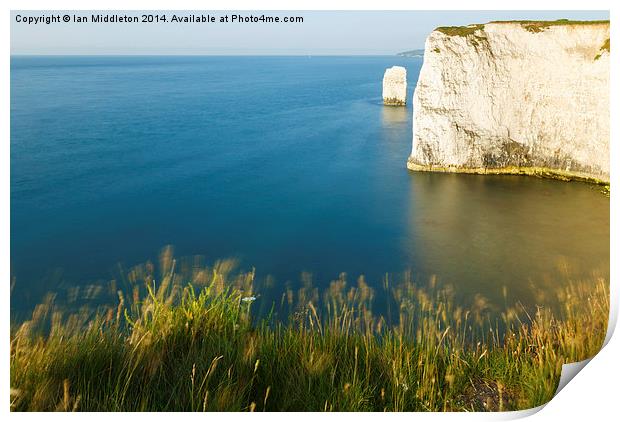 Morning light at Old Harry Rocks Print by Ian Middleton