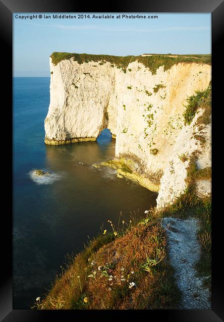 Morning light at Old Harry Rocks Framed Print by Ian Middleton