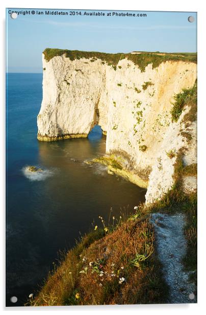 Morning light at Old Harry Rocks Acrylic by Ian Middleton