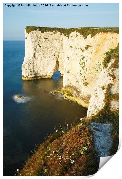 Morning light at Old Harry Rocks Print by Ian Middleton
