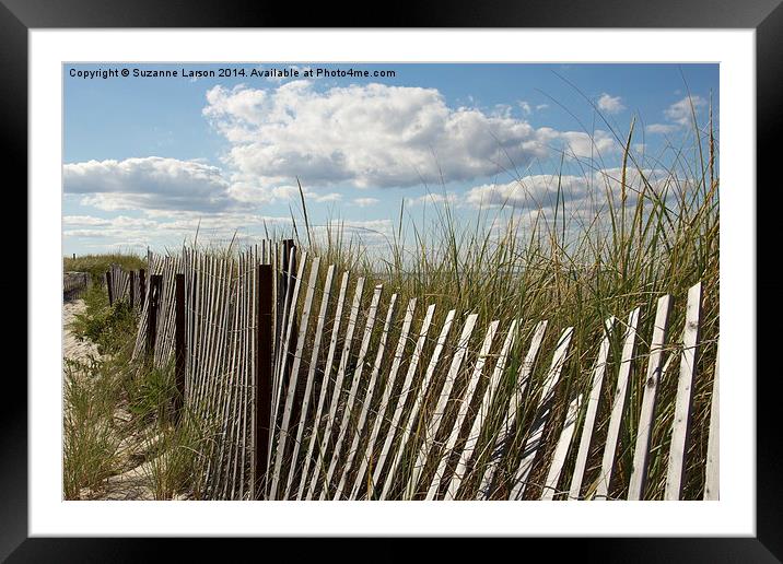  Cape Cod Dunes Framed Mounted Print by Suzanne Larson
