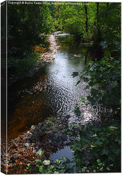 Afon Anghof at Wolf's Castle Canvas Print by Barrie Foster