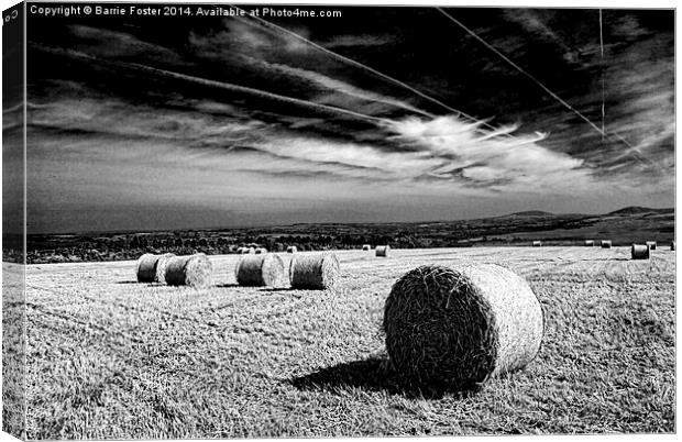  Preseli Backdrop #1 Canvas Print by Barrie Foster