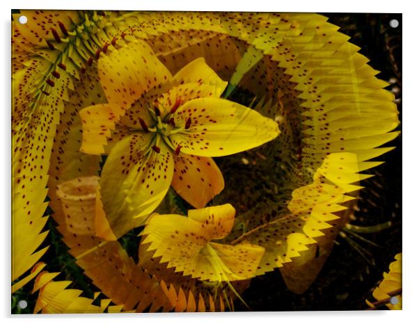  Spiral Fractal Lily. Acrylic by Heather Goodwin