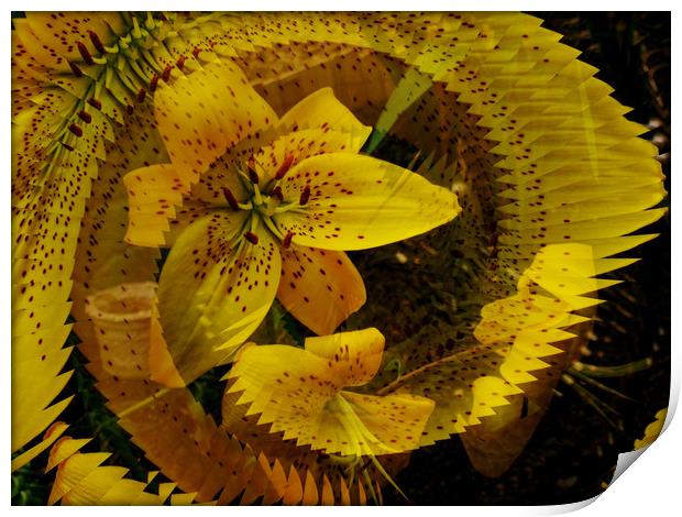  Spiral Fractal Lily. Print by Heather Goodwin