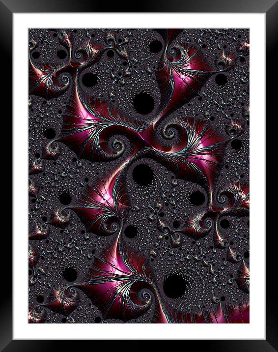  Curious Ornamentation Framed Mounted Print by Amanda Moore