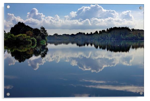   Lake Reflections Acrylic by Darren Burroughs
