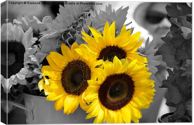  Sunflowers at the Market Canvas Print by Suzanne Larson