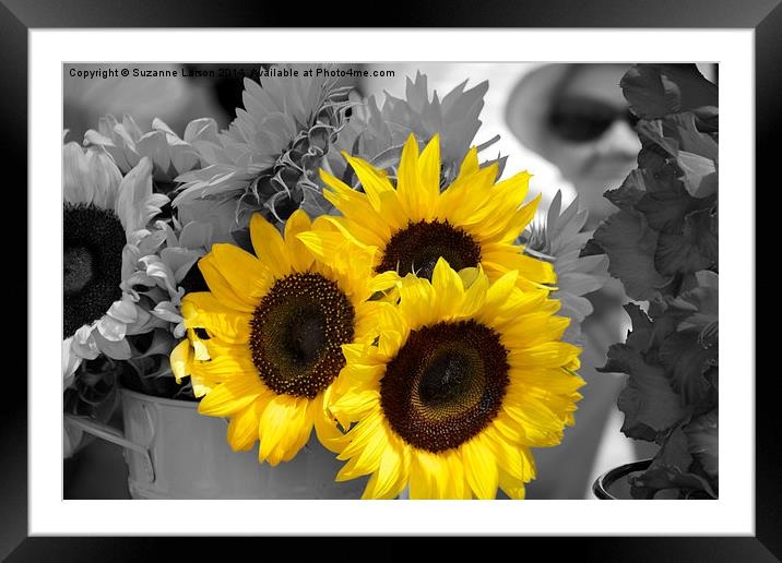  Sunflowers at the Market Framed Mounted Print by Suzanne Larson
