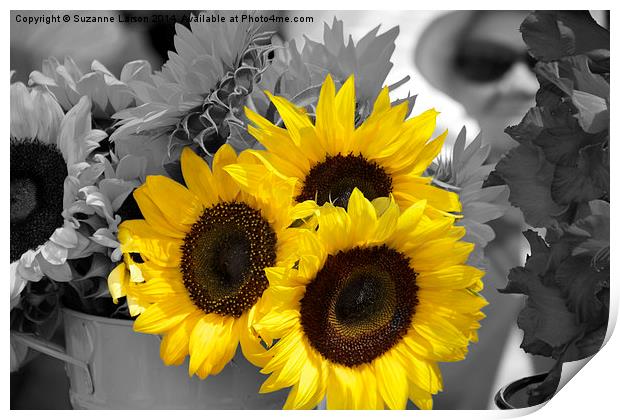  Sunflowers at the Market Print by Suzanne Larson