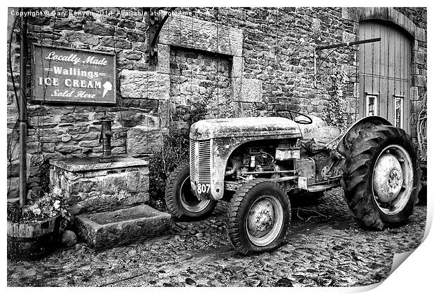  Grey Ferguson Tractor Print by Gary Kenyon