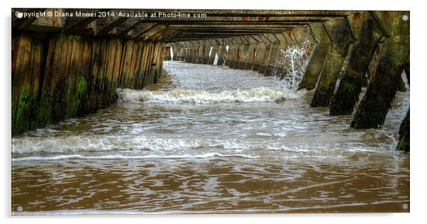  Under the Pier Acrylic by Diana Mower