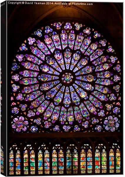 The North Rose window of Notre Dame Canvas Print by David Yeaman