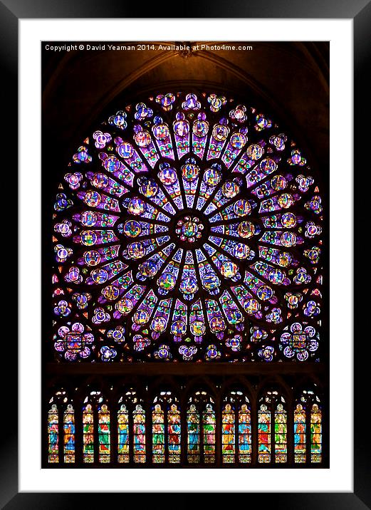 The North Rose window of Notre Dame Framed Mounted Print by David Yeaman