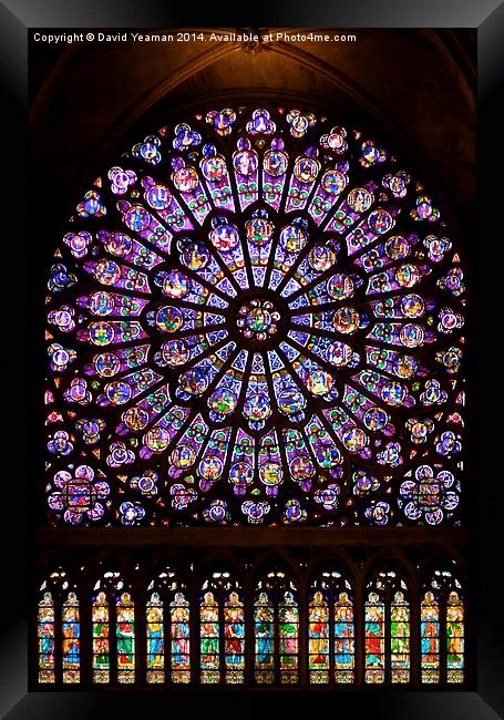 The North Rose window of Notre Dame Framed Print by David Yeaman