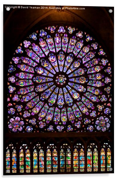 The North Rose window of Notre Dame Acrylic by David Yeaman