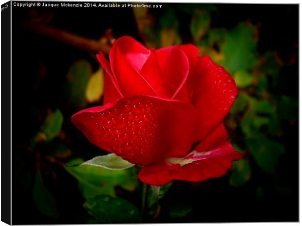  ROSEY RED Canvas Print by Jacque Mckenzie
