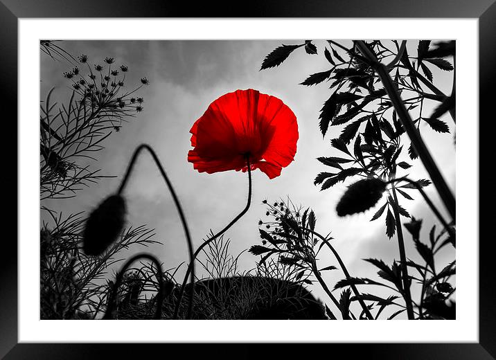  Memories Framed Mounted Print by Iain Mavin