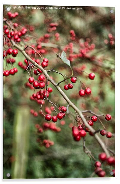 red berries Acrylic by Jo Beerens