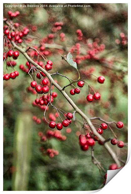 red berries Print by Jo Beerens