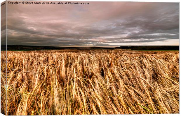  Fields Of Gold Canvas Print by Steve H Clark