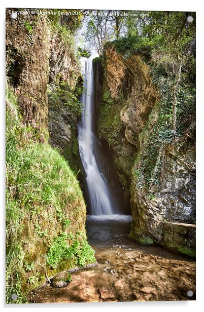  Dyserth Waterfall, Denbighshire Acrylic by Christine Smart