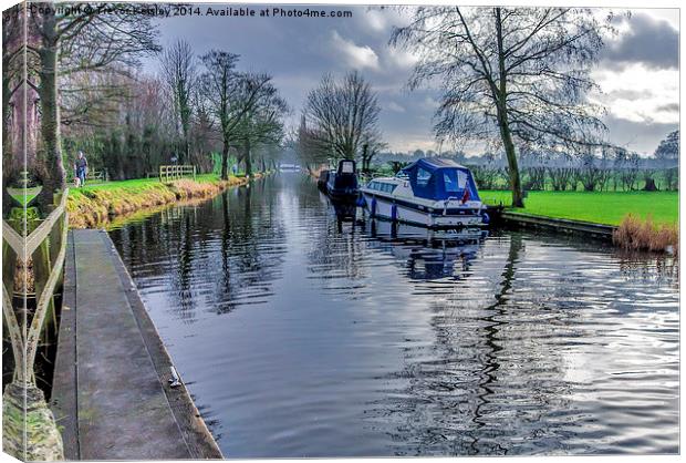 On The Canal Ripon Canvas Print by Trevor Kersley RIP