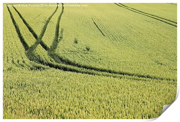 Green Field of Wheat Crop Texture Print by Mark Purches