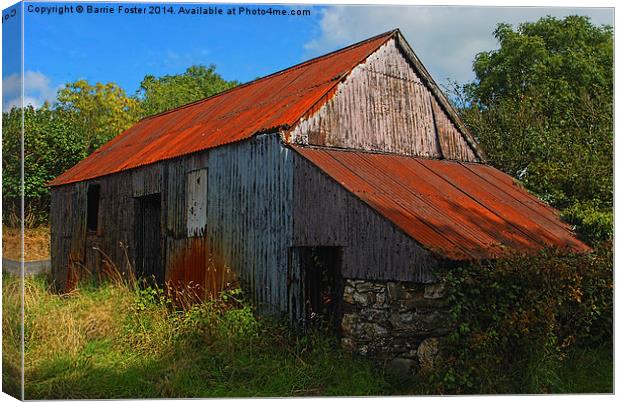  Wriggly Tin: Farm Shed Canvas Print by Barrie Foster