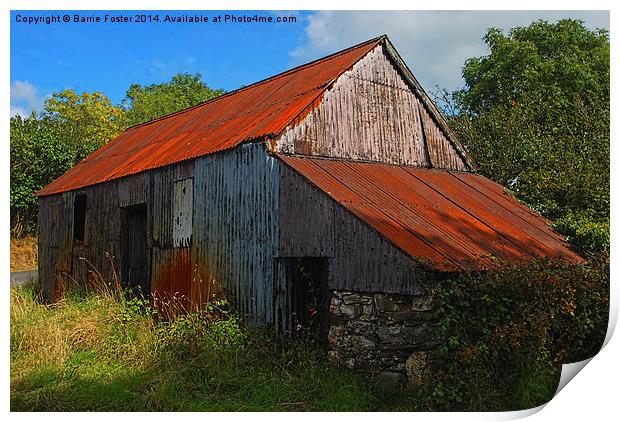  Wriggly Tin: Farm Shed Print by Barrie Foster