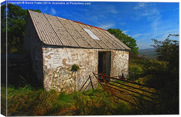  Wriggly Tin: Gwaun Valley Barn Canvas Print by Barrie Foster