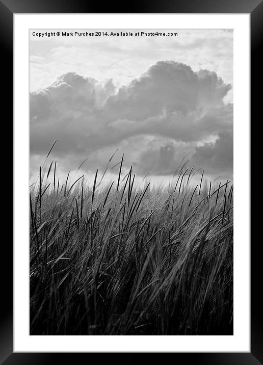 Black White Barley Crop Growing Under Cloudy Sky D Framed Mounted Print by Mark Purches