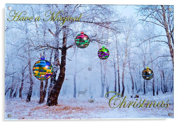 Have a Magical Christmas Acrylic by John Ellis