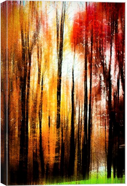  Fall Abstract Canvas Print by Tom and Dawn Gari
