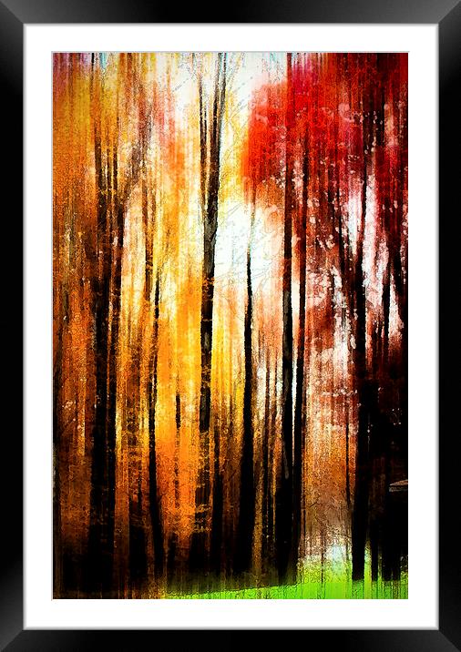  Fall Abstract Framed Mounted Print by Tom and Dawn Gari