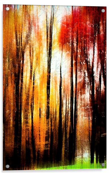  Fall Abstract Acrylic by Tom and Dawn Gari
