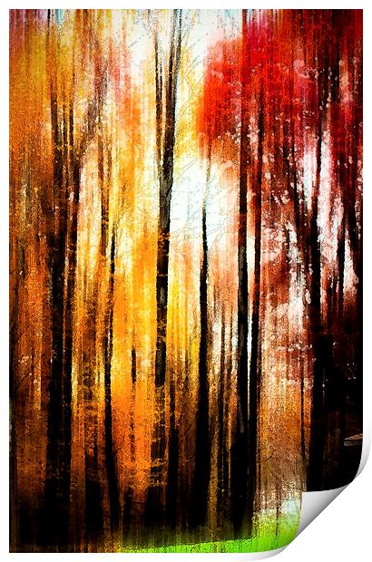  Fall Abstract Print by Tom and Dawn Gari