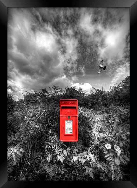  Rural Post Box Framed Print by Mal Bray