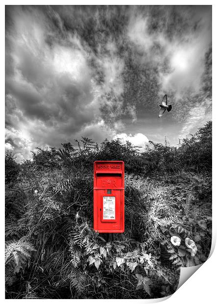  Rural Post Box Print by Mal Bray