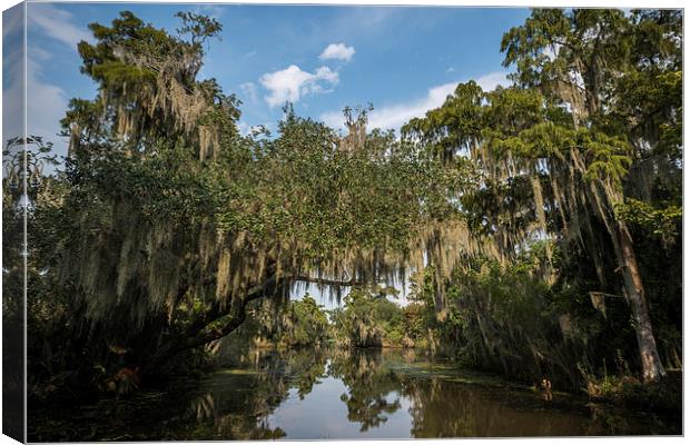  New Orleans Swamps Canvas Print by Kieran Brimson