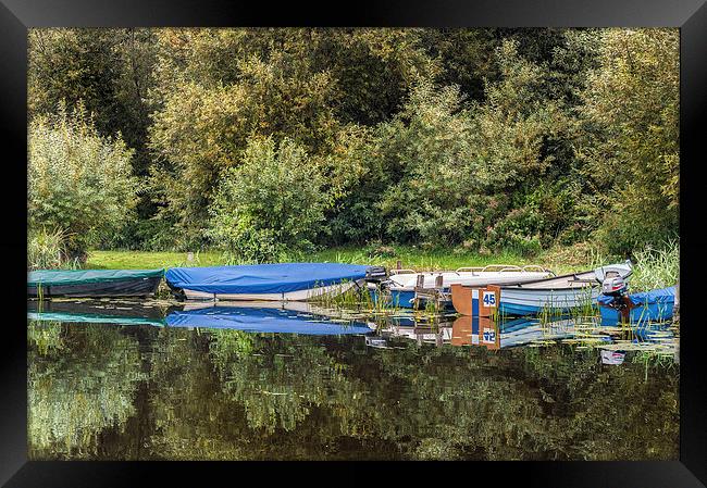  Moored at Barton Turf Framed Print by Stephen Mole