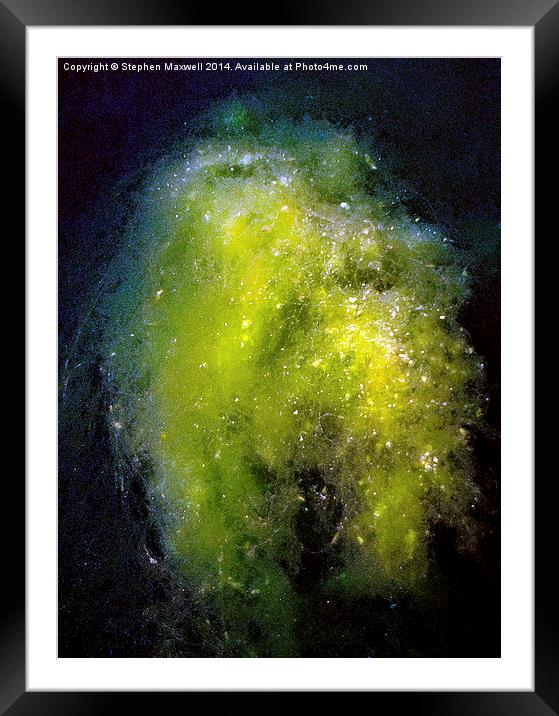  Pondweed Nebula Framed Mounted Print by Stephen Maxwell