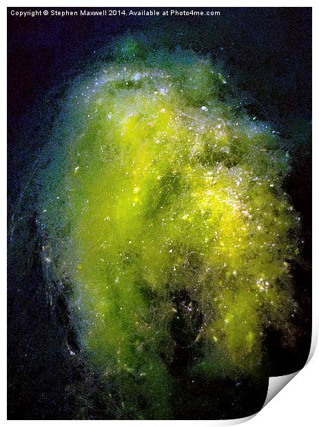  Pondweed Nebula Print by Stephen Maxwell