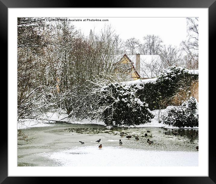A Frozen Duck Pond  Framed Mounted Print by Judith Lightfoot