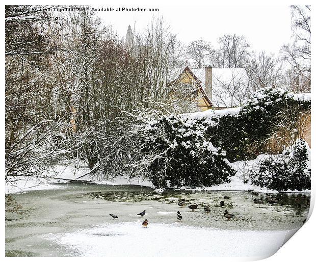 A Frozen Duck Pond  Print by Judith Lightfoot