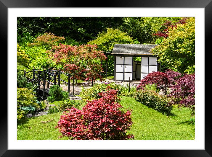  A Delightful Japanese Garden Framed Mounted Print by Judith Lightfoot